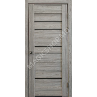 Usa interior BIT 06 (L 900 x H 2000) 